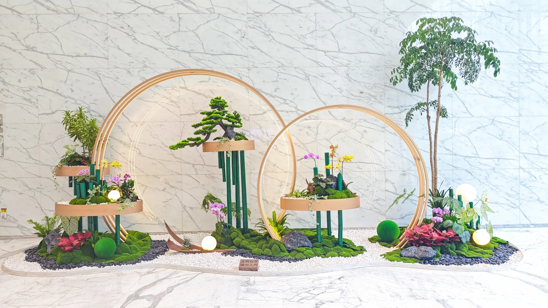 了解宁波江北植物租赁价格，点进来